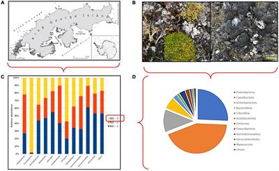 Biological Soil Crusts as <mark class="highlighted">Ecosystem Engineers</mark> in Antarctic Ecosystem